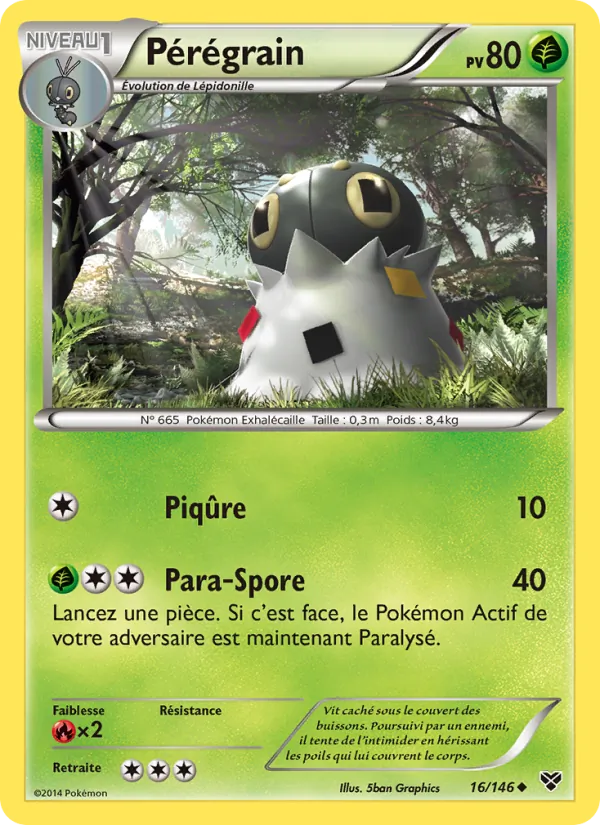 Pérégrain XY 16/146
