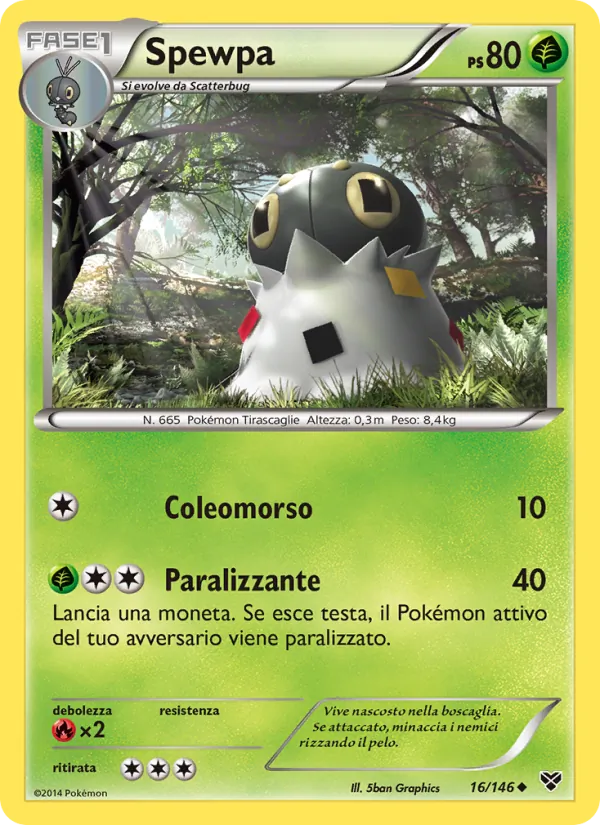 Spewpa XY 16/146