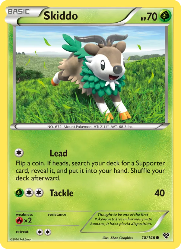 Skiddo XY 18/146