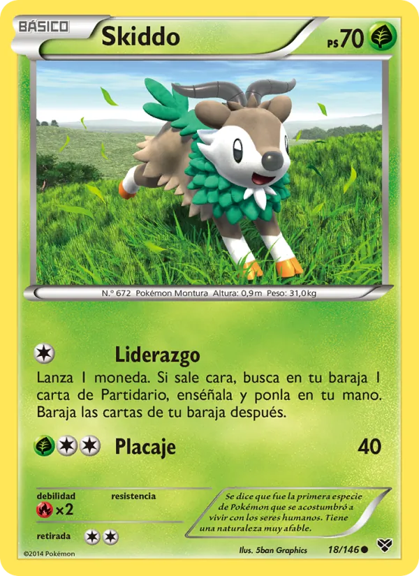 Skiddo XY 18/146