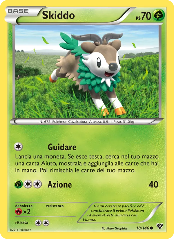 Skiddo XY 18/146