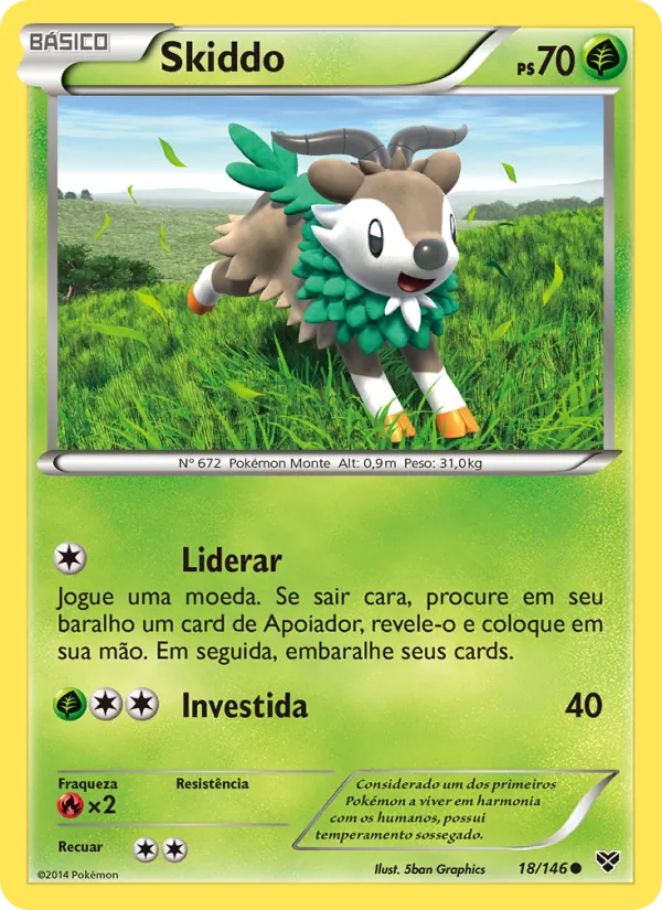Skiddo XY 18/146