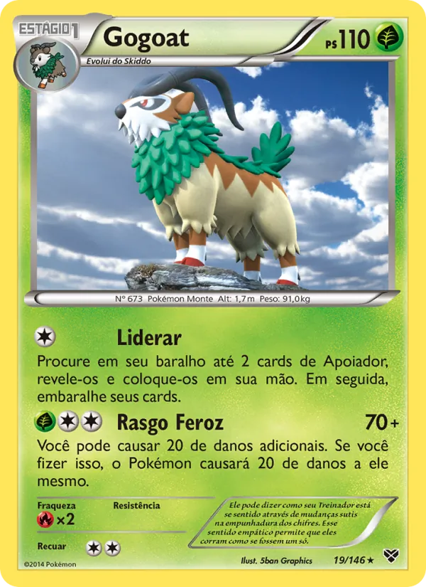 Gogoat XY 19/146