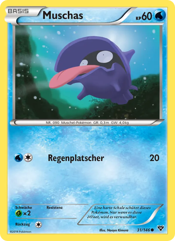Muschas XY 31/146
