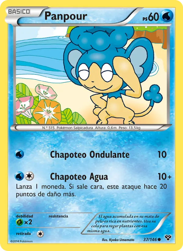 Panpour XY 37/146