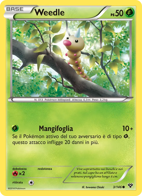 Weedle XY 3/146