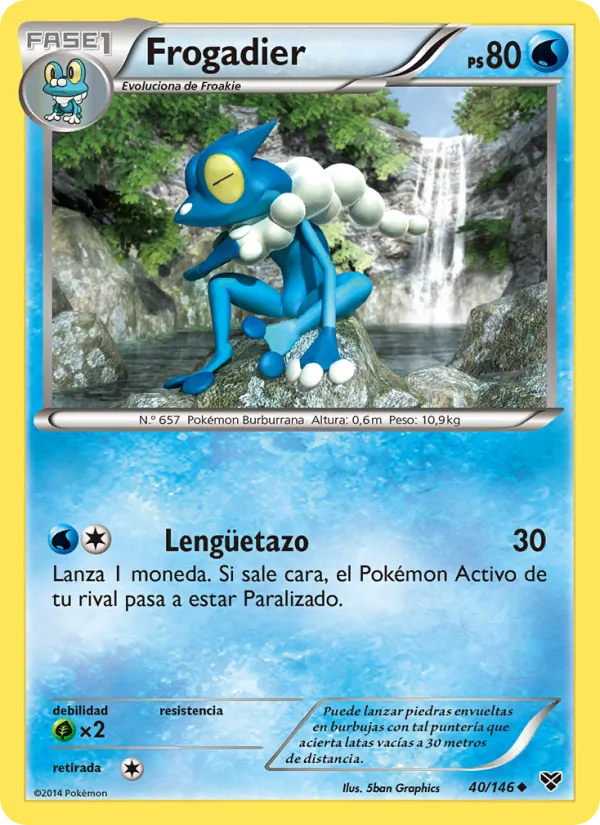 Frogadier XY 40/146