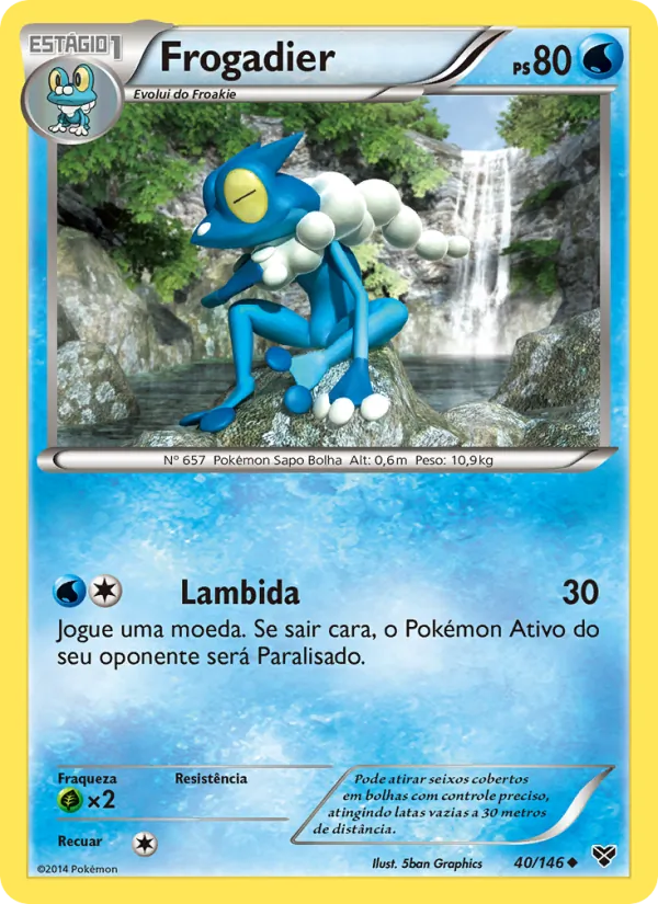 Frogadier XY 40/146