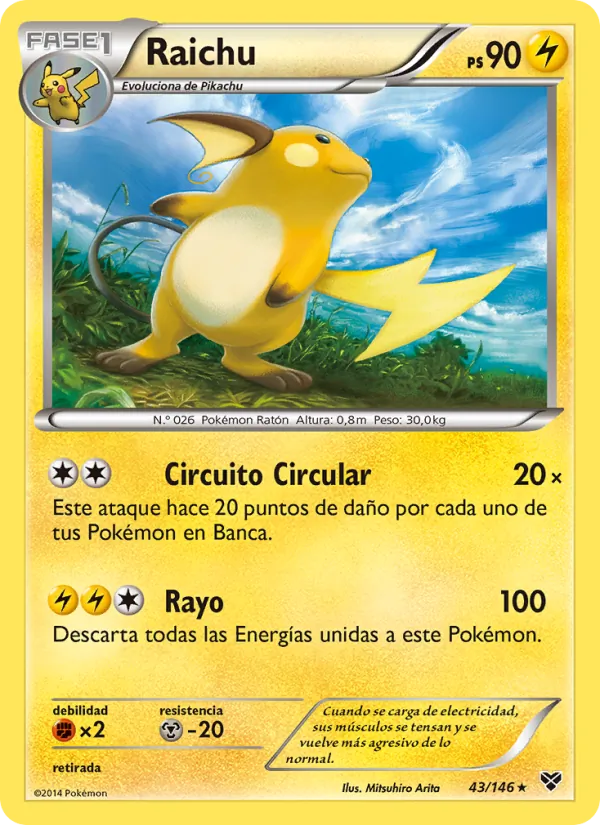 Raichu XY 43/146