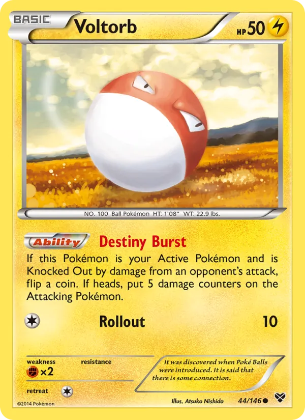Voltorb XY 44/146