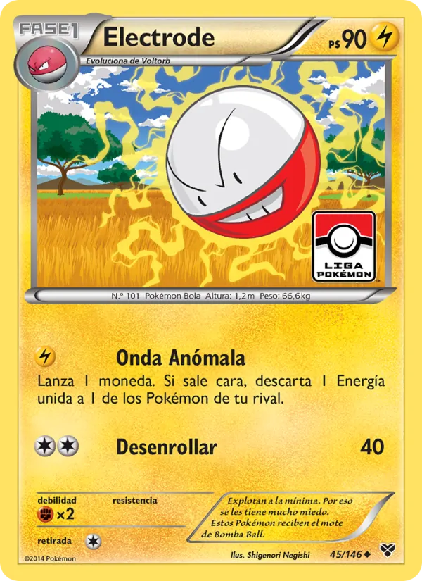 Electrode XY 45/146