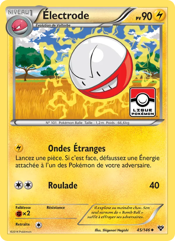 Électrode XY 45/146