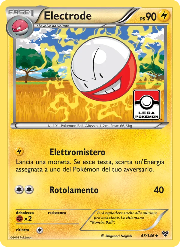 Electrode XY 45/146