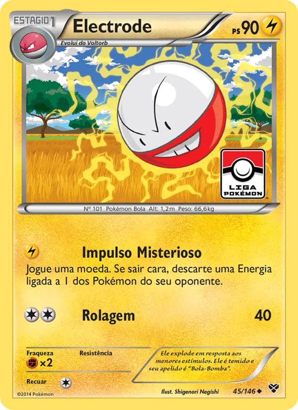 Electrode XY 45/146