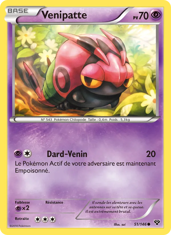 Venipatte XY 51/146