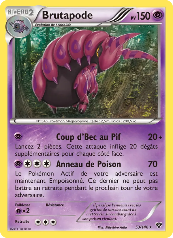 Brutapode XY 53/146