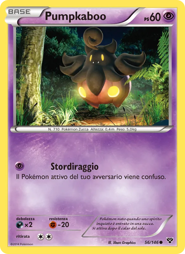Pumpkaboo XY 56/146
