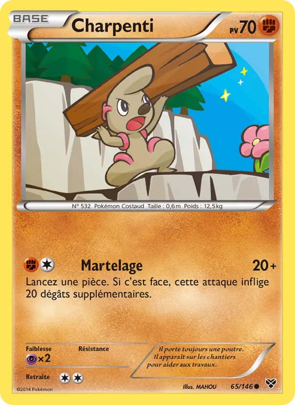 Charpenti XY 65/146