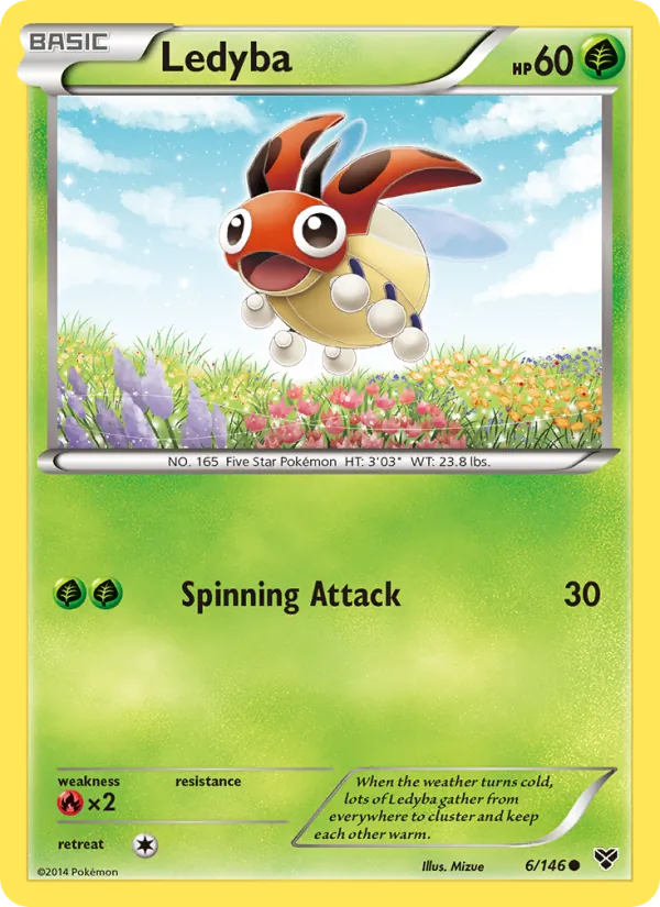 Ledyba XY 6/146