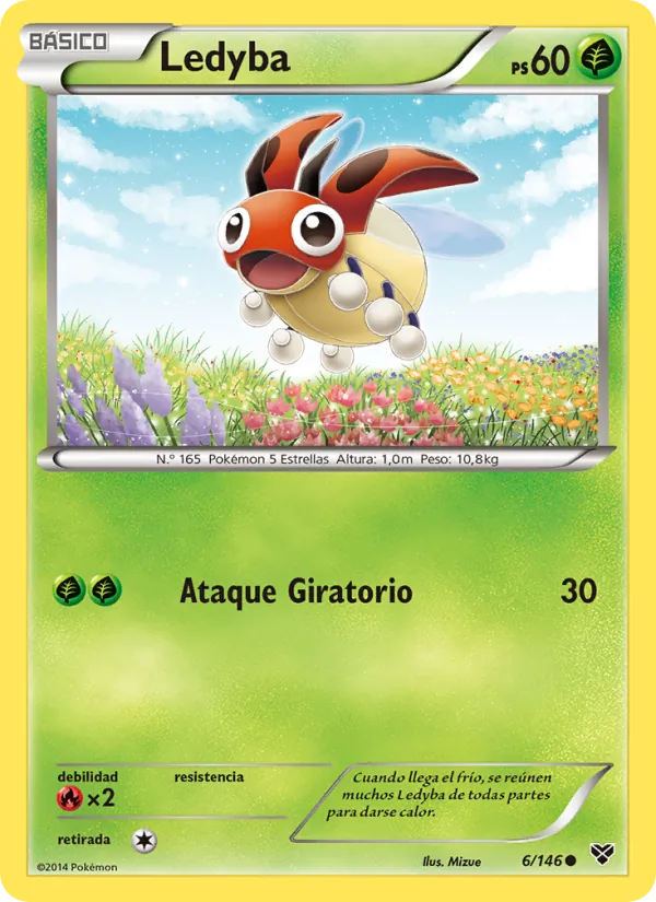 Ledyba XY 6/146