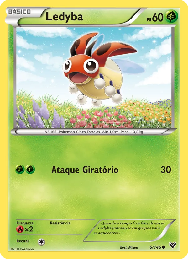Ledyba XY 6/146