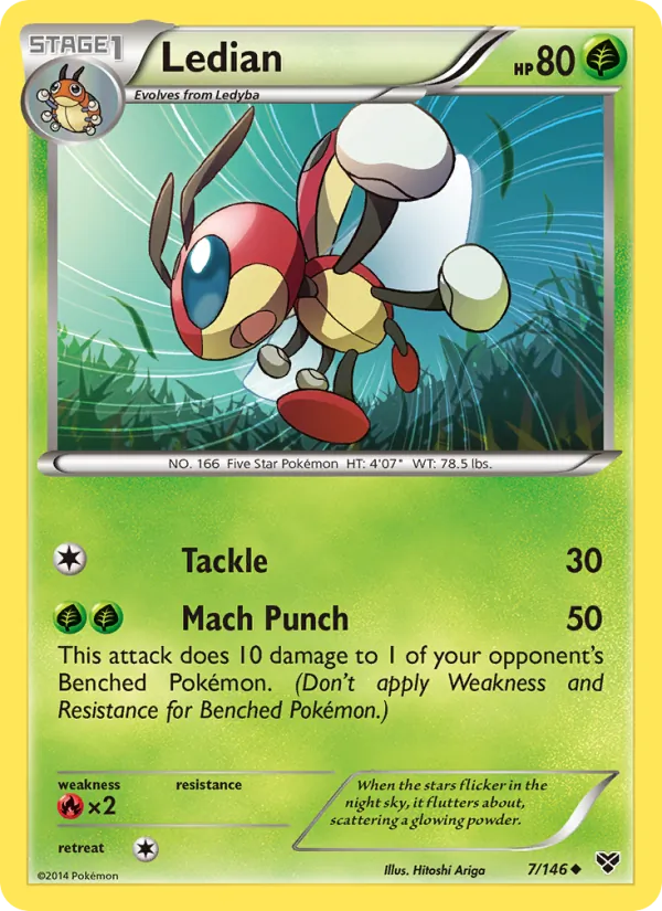 Ledian XY 7/146