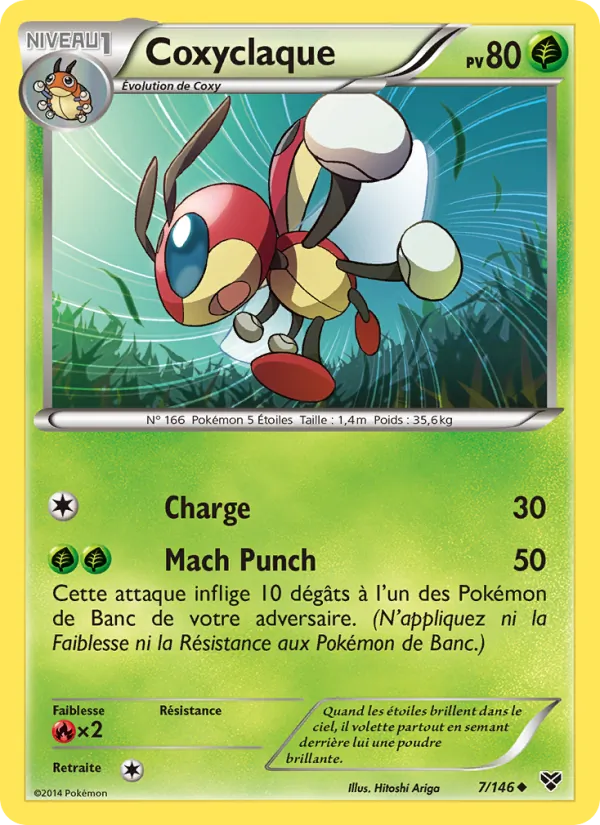 Coxyclaque XY 7/146
