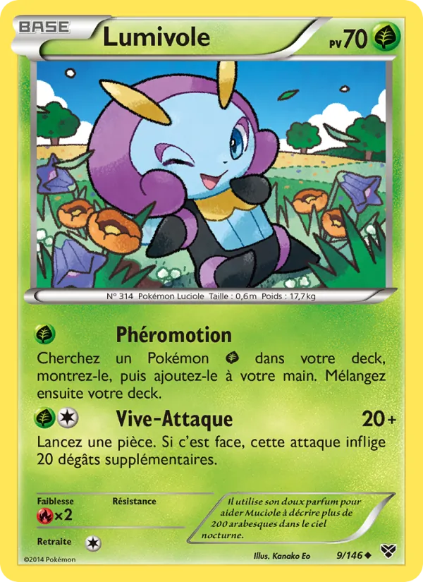 Lumivole XY 9/146