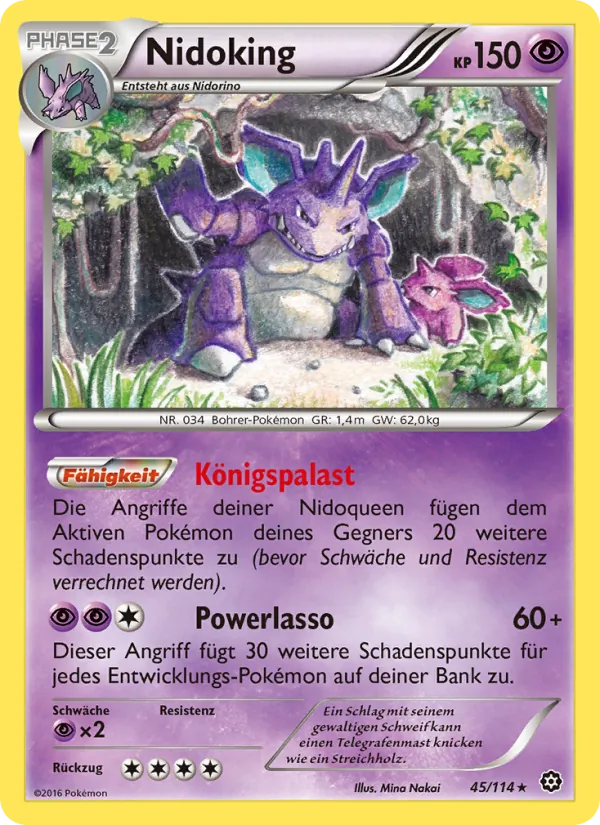 Nidoking Dampfkessel 45/114