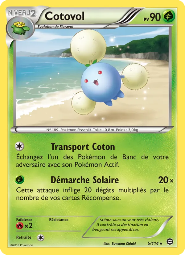 Cotovol Offensive Vapeur 5/114