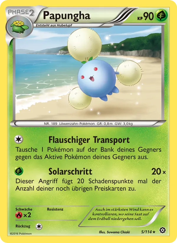 Papungha Dampfkessel 5/114
