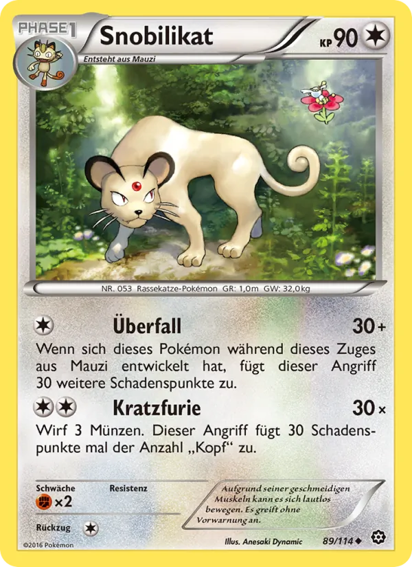 Snobilikat Dampfkessel 89/114