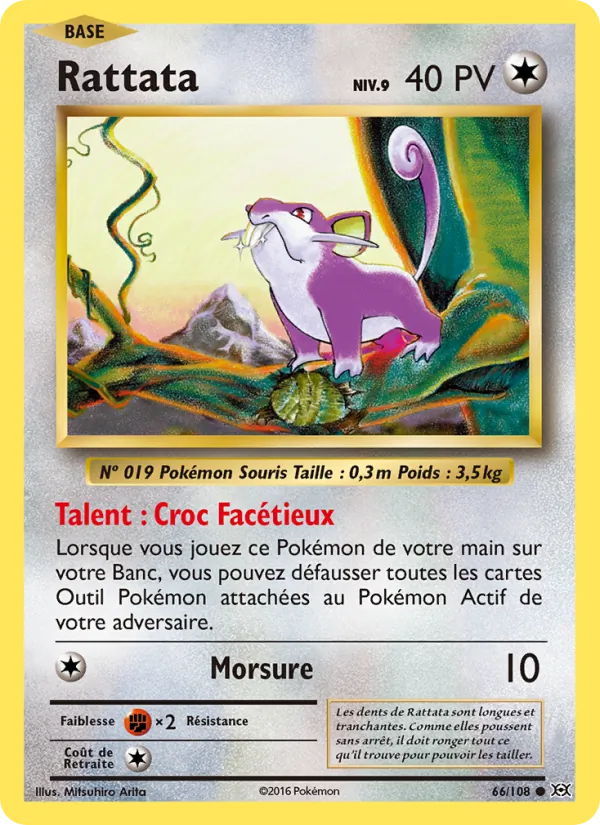 Rattata Évolutions 66/108