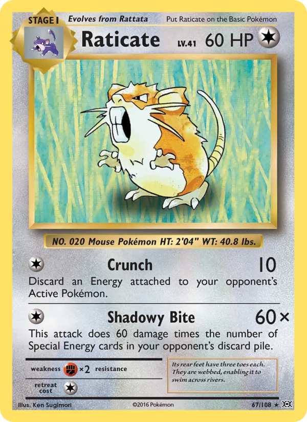 Raticate Evolutions 67/108