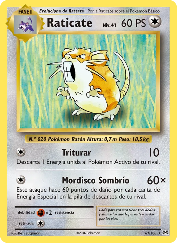 Raticate Evoluciones 67/108