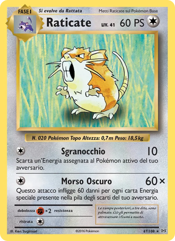 Raticate Evoluzioni 67/108