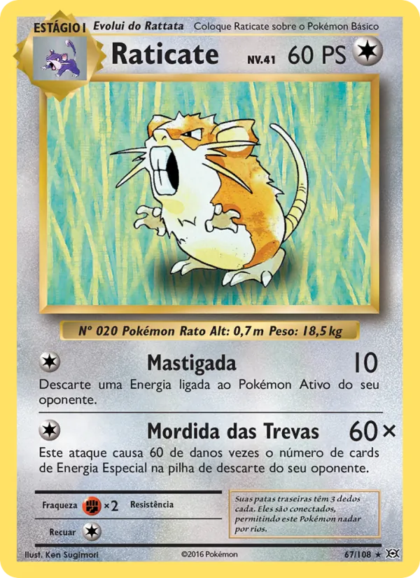 Raticate Evoluções 67/108