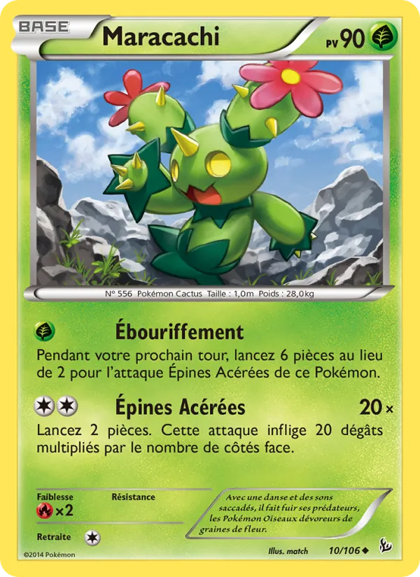 Maracachi Étincelles 10/106
