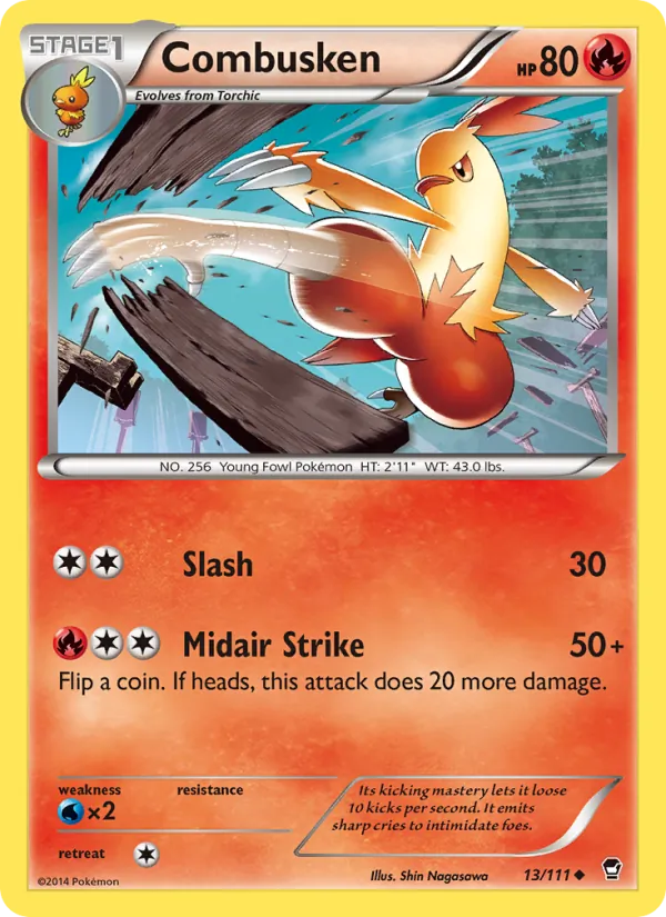 Combusken Furious Fists 13/111