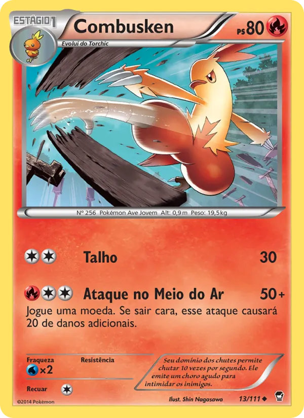 Combusken Punhos Furiosos 13/111