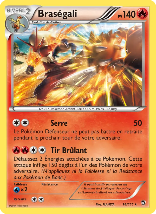 Braségali Poings Furieux 14/111