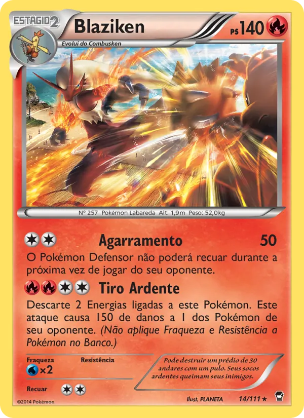 Blaziken Punhos Furiosos 14/111