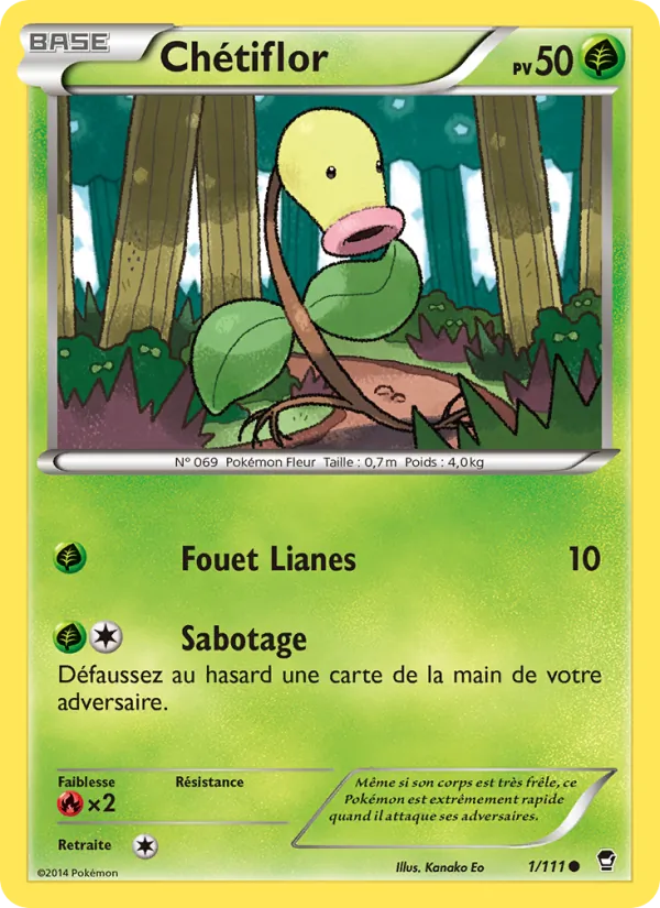 Chétiflor Poings Furieux 1/111