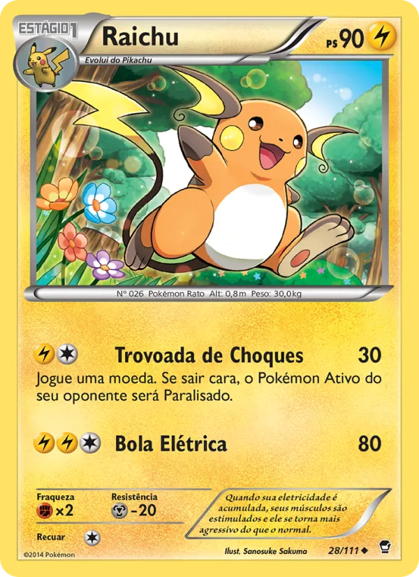 Raichu Punhos Furiosos 28/111