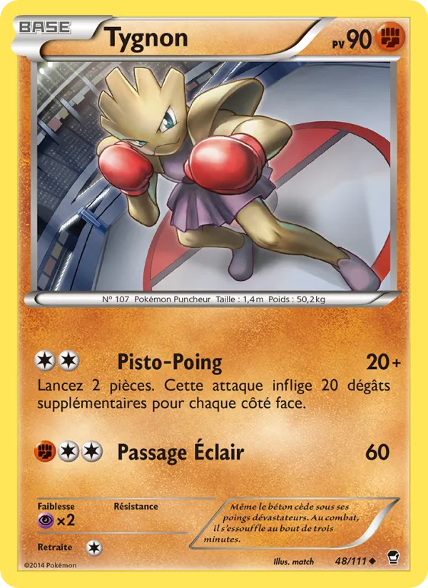 Tygnon Poings Furieux 48/111