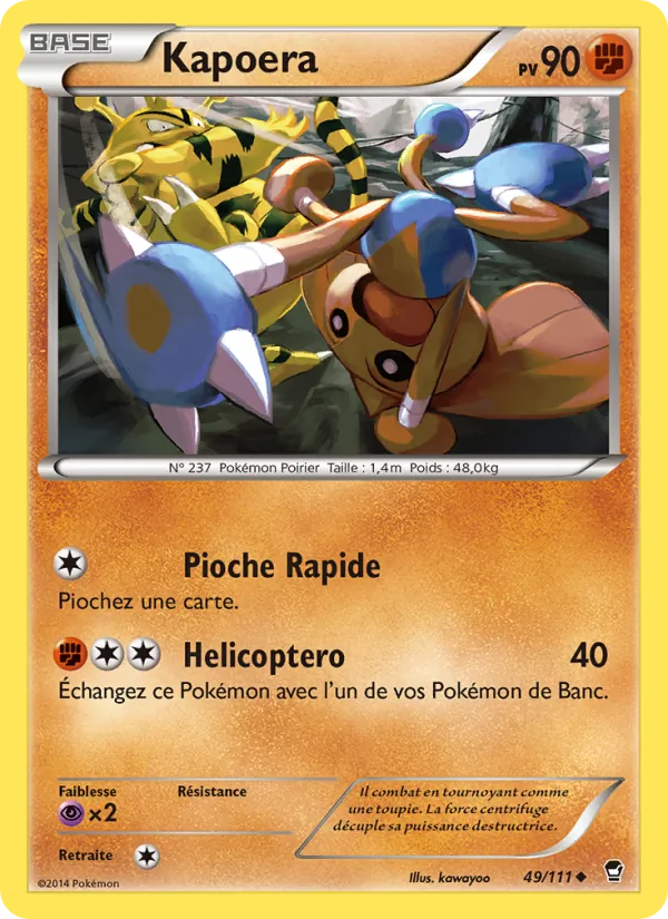 Kapoera Poings Furieux 49/111