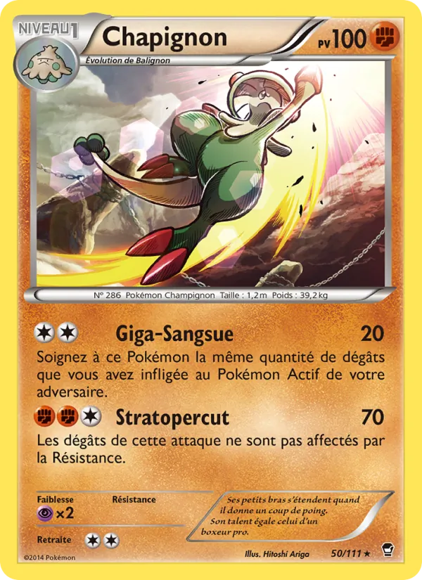 Chapignon Poings Furieux 50/111
