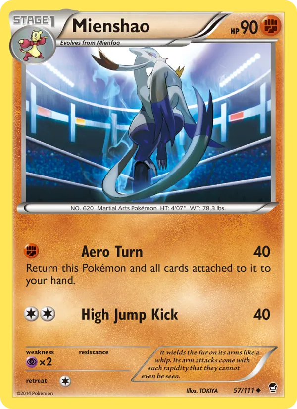 Mienshao Furious Fists 57/111