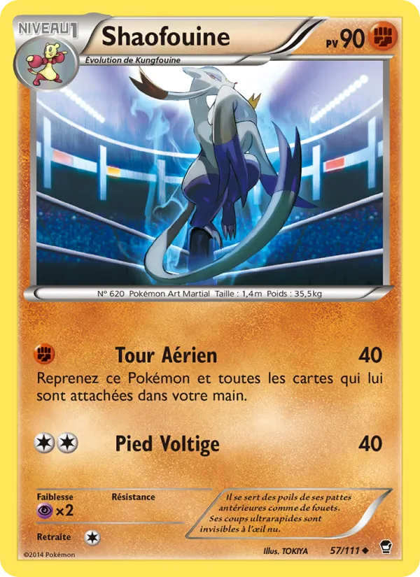 Shaofouine Poings Furieux 57/111