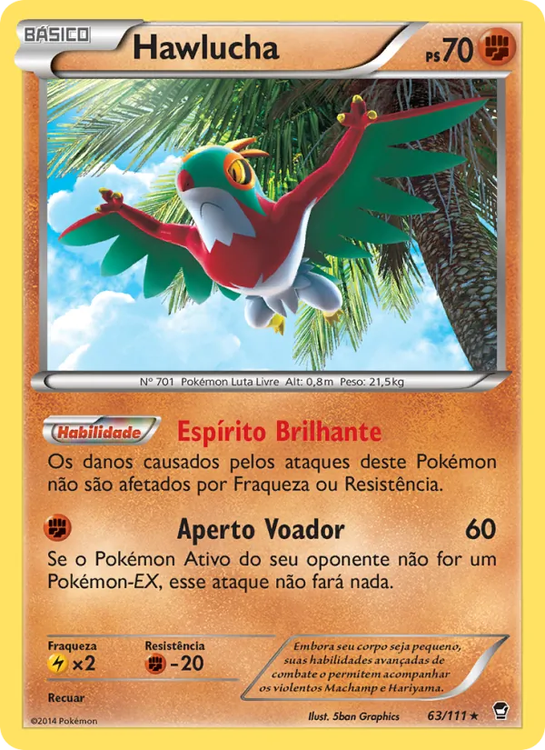 Hawlucha Punhos Furiosos 63/111